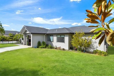 Photo of property in 69 Harvest Avenue, Orewa, 0931