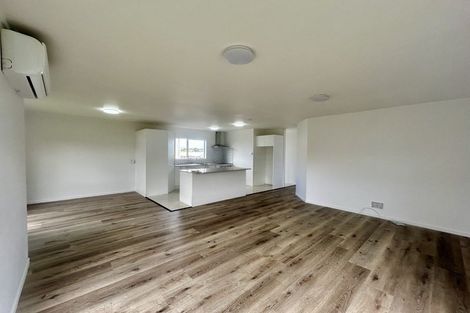 Photo of property in 49 Trimdon Street, Randwick Park, Auckland, 2105