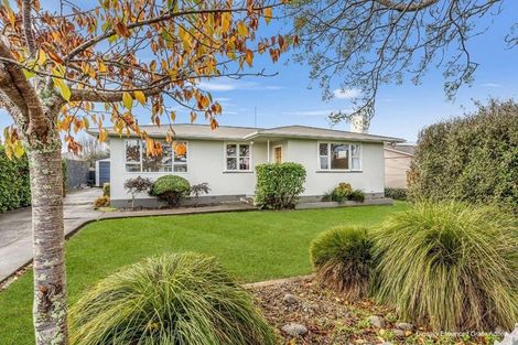 Photo of property in 56 Devon Road, Springvale, Whanganui, 4501