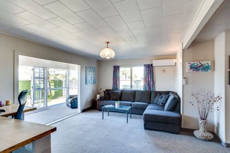 Photo of property in 43 Lanark Place, Tamatea, Napier, 4112