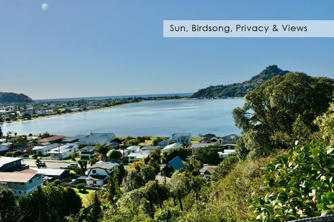 Photo of property in 16 Pine Grove, Tairua, 3508
