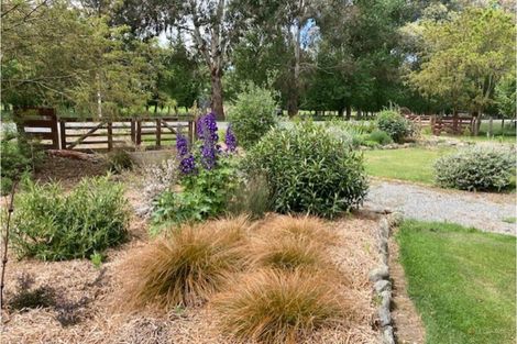 Photo of property in 21 Pleasant Valley Road, Geraldine, 7991