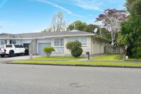 Photo of property in 76 Winchester Street, Levin, 5510