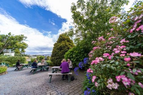 Photo of property in 7 Harington Point Road, Portobello, Dunedin, 9014