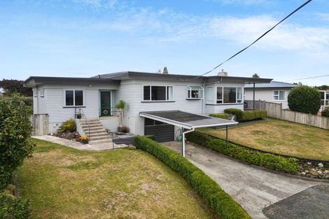 Photo of property in 14 Terrace Street, Putaruru, 3411