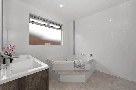 Photo of property in 17 Sydney Place, Flagstaff, Hamilton, 3210