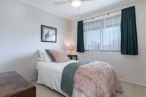 Photo of property in 79b Thirteenth Avenue, Tauranga South, Tauranga, 3112