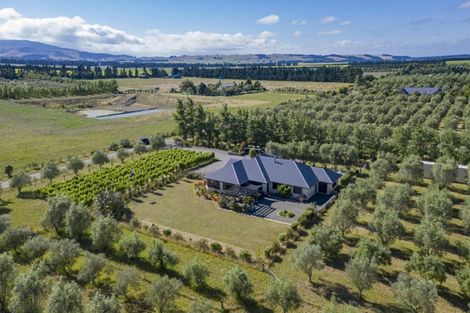 Photo of property in 323 Georges Road, Glasnevin, Amberley, 7482