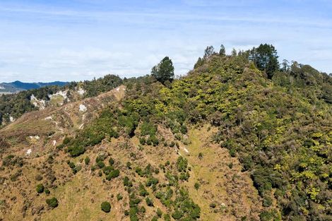 Photo of property in 1530 Mokau Road, Uruti, Urenui, 4379