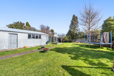 Photo of property in 21 Edinburgh Street, Levin, 5510