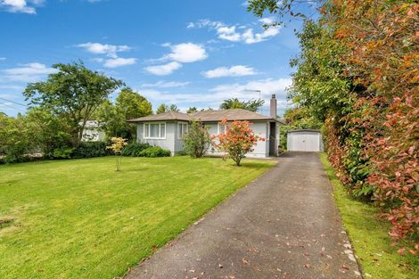 Photo of property in 45 Tararua Street, Pahiatua, 4910