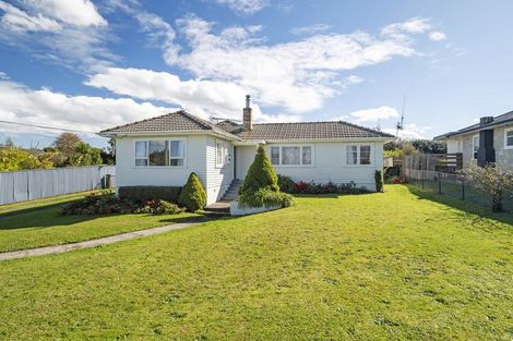 Photo of property in 50 Neal Street, Putaruru, 3411