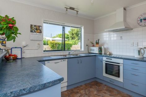 Photo of property in 29b York Street, Levin, 5510