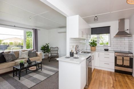 Photo of property in 12 Nimon Street, Havelock North, 4130