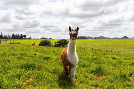Photo of property in 188 Valley Road, Woodville, 4998