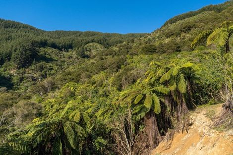 Photo of property in 910 Kenepuru Road, Mahau Sound, Picton, 7282