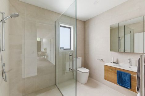 Photo of property in 1/17 Clark Street, Levin, 5510