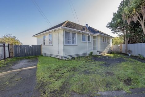Photo of property in 24 Mahoe Street, Levin, 5510