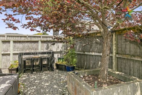 Photo of property in 1a/10 Park Avenue, Epuni, Lower Hutt, 5011