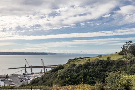 Photo of property in 108 Thompson Road, Bluff Hill, Napier, 4110