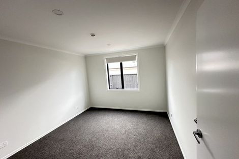 Photo of property in 87 Dunlop Road, Te Puke, 3119