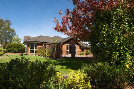 Photo of property in 56 Hillcrest Avenue, Witherlea, Blenheim, 7201