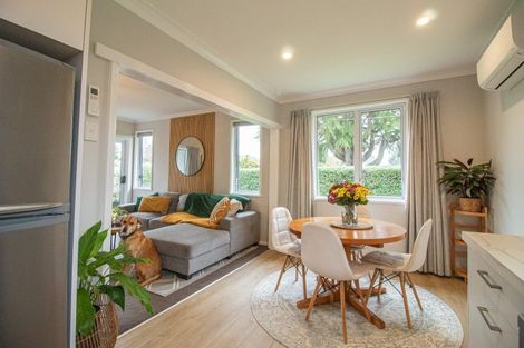 Photo of property in 101 Mulgrave Street, Ashhurst, 4810