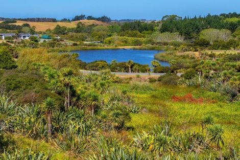 Photo of property in 161 Tara Road, Mangawhai, Kaiwaka, 0573