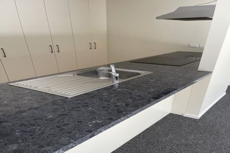 Photo of property in 29 Grove Road, Addington, Christchurch, 8024