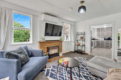 Photo of property in 6 Duncan Place, Highbury, Palmerston North, 4412