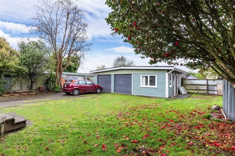 Photo of property in 52 Te Rangitautahanga Road, Turangi, 3334