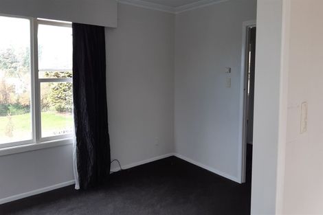 Photo of property in 163 Arapuni Street, Putaruru, 3411