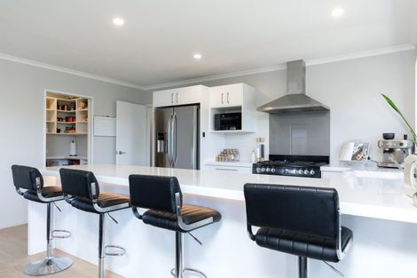 Photo of property in 16 Grigg Drive, Witherlea, Blenheim, 7201