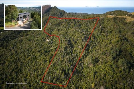 Photo of property in 399c Tairua Whitianga Road, Whenuakite, Whitianga, 3591