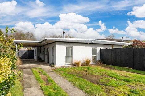 Photo of property in 17 Poihaere Street, Turangi, 3334