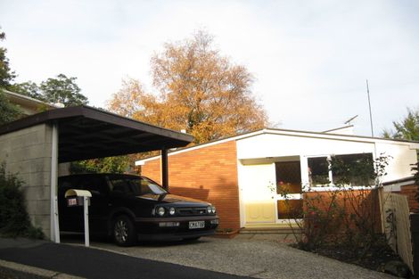 Photo of property in 8 Balmoral Street, Opoho, Dunedin, 9010