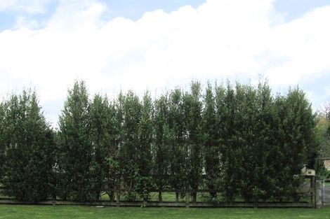 Photo of property in 34 Okona Crescent, Ngongotaha, Rotorua, 3010