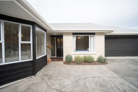 Photo of property in 17a Franklin Avenue, Hokowhitu, Palmerston North, 4410