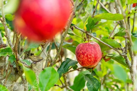 Photo of property in 25 Whaka Street, Maungaturoto, 0520