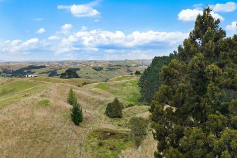 Photo of property in 352 Kauri Road, Onewhero, 2697