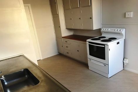 Photo of property in 51 Graham Street, Hamilton East, Hamilton, 3216