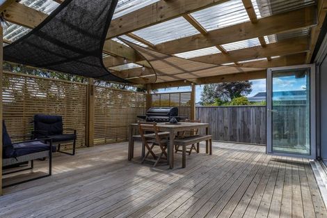 Photo of property in 42 Kennedy Drive, Levin, 5510