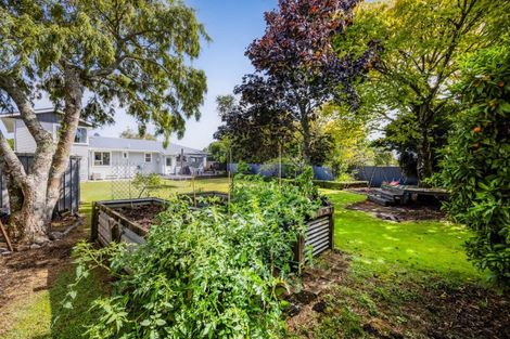 Photo of property in 1 Nikau Street, Inglewood, 4330