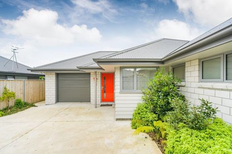 Photo of property in 52a Weston Avenue, Roslyn, Palmerston North, 4414