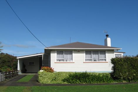 Photo of property in 123 Browne Street, Waitara, 4320