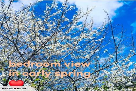 Photo of property in 32 Rothesay Place, Dinsdale, Hamilton, 3204