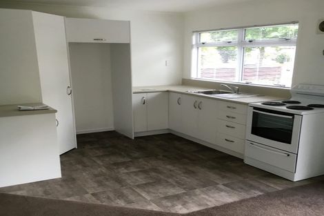 Photo of property in 1/17 Wellington Street, Hamilton East, Hamilton, 3216