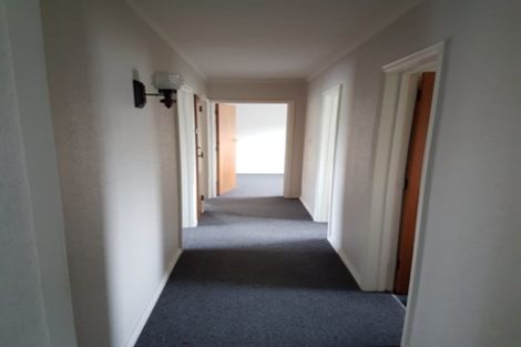 Photo of property in 194 Whatawhata Road, Dinsdale, Hamilton, 3204