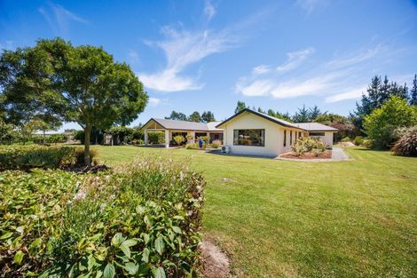 Photo of property in 572 Taonui Road, Colyton, Feilding, 4775