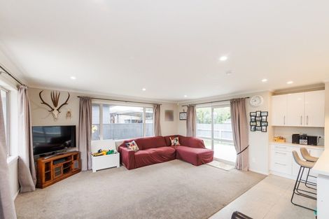 Photo of property in 64 Salisbury Street, Ashhurst, 4810